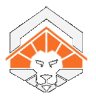 DSM City Construction Ltd