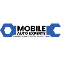 Mobile Auto Experts