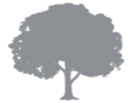 Park Orthodontics