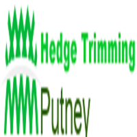 Hedge Trimming Putney