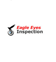 China factory audit report-Eagle Eyes