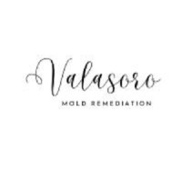 Valasoro Mold Remediation