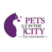 Pets In The City - Pet Grooming Dubai
