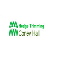Hedge Trimming Coney Hall