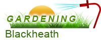 Gardening Blackheath