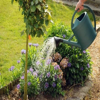 Gardeners Norbiton