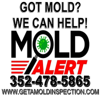 Mold Alert - Mold Inspections and Testing