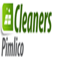 Cleaners Pimlico Ltd.
