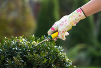 Landscapers Walthamstow