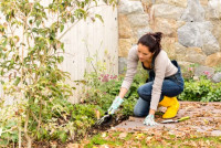 Landscapers Enfield