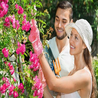 Landscapers Finchley