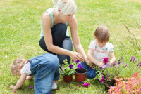 Landscapers Feltham