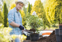 Landscapers Finsbury Park