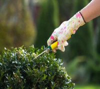 Pressure Washing Peckham