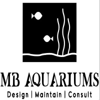 MB Aquarium