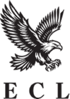 Eagle Chauffeuring Ltd's
