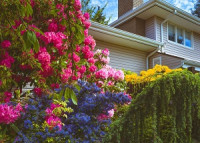 Brightpath Havant Landscaping