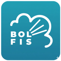 Bolfis Cleaning