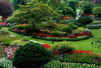 Greenview Basildon Landscaping