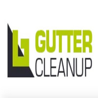 Gutter Clean Up
