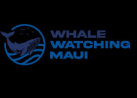 Whale Watching Maui