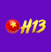 SH133 Net