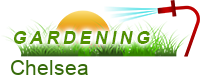 Gardening Chelsea