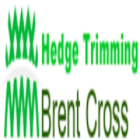 Hedge Trimming Brent Cross