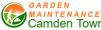 Garden Maintenance Camden Town