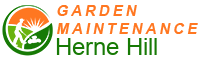 Garden Maintenance Herne Hill