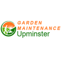 Garden Maintenance Upminster