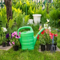 Garden Landscapes