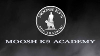 Moosh K9 Academy Dog Training