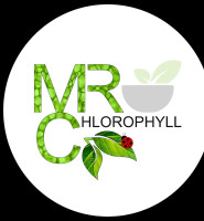 Mr Chlorophyll