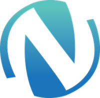 Professional Web Development Services India | NAGA