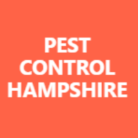 Pest Control Hampshire