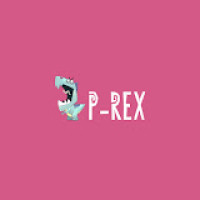 P-REX Hobby