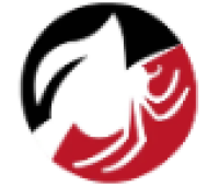 Possum Removal Melbourne
