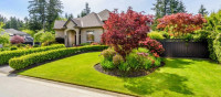 Professional Landscaping Services in Dubai | Garden Design & Maintenance Experts
