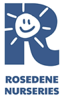 Rosedene Redcar Children's Nursery