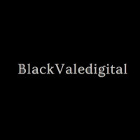 Black Vale Digital