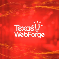 TexasWebForge – Ecommerce Web Development Company for Scalable Online Stores