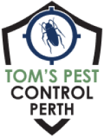 Building Pest Inspection Perth | Tom’s Pest Control Perth