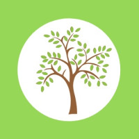 Tree Surgery in Chelmsford | Tree Surgeon in Chelmsford