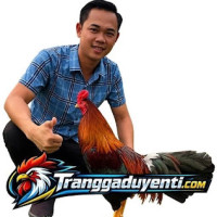 Trai ga Duyen Ti