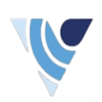 Virtuosity Digital - Best Digital Marketing Company in India
