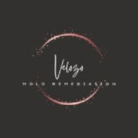Velozo Mold Remediation
