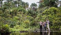 Democratic Republic of the Congo Transit Visa