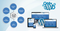 web development company lahore