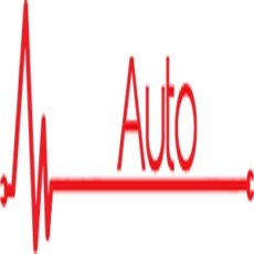 The Auto Dr.